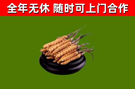 陕西省烟酒回收冬虫夏草.jpg
